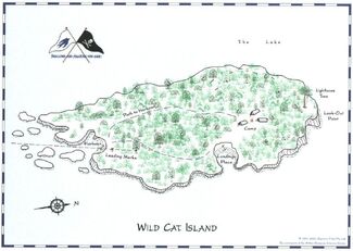 Wildcatisland
