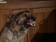 The.Bionic.Woman.S03E16.DVDrip.XviD-SAiNTS.avi 002568240