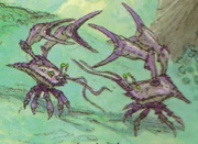 Yobshrimp.JPG