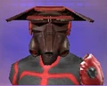 DemoPilot.jpg