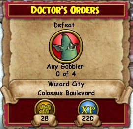 Doctor's Orders