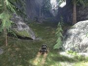 Hog in the canyon