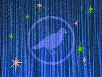 Pigeonintro.jpg