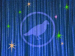 Pigeonintro