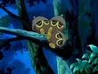 EP483 Seedot