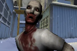 Feederpic.jpg
