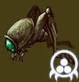 BEETOM~1