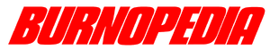 Burnopedia Logo Plain