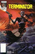 Terminatorallmyfuturespast1