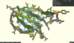 Foldit