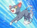 EP503 Glameow de Zoe