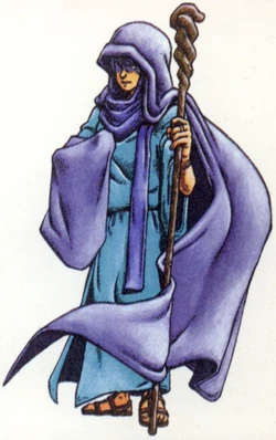 CV3 Guide Sypha.JPG