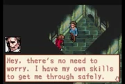Boktai Snake