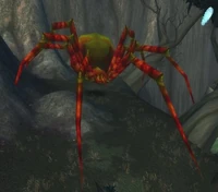 Terokkarantula