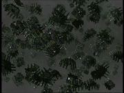 Nanosonde - Scorpion II