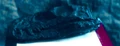 Herrerasaurus ischigualastensis.jpg