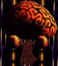 Andross brain