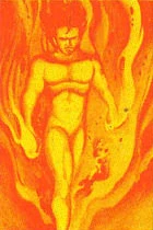 NP C3 Fireman