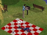 Dreamer Picnic