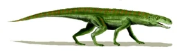 Gracilisuchus BW.jpg
