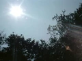 892 sun.jpg