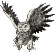 Owl Artwork 1 (Link's Awakening)