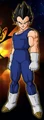 Prince Vegeta