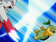 EP520 Zangoose usando tijera X