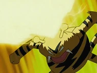 EP521 Electabuzz utilizando trueno