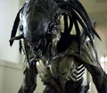 Predalien-Yautja+Xenomorph