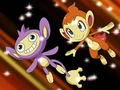 EP524 Aipom y Chimchar.png