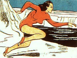 Amazona1