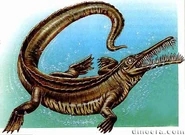 Mesosaurus BW
