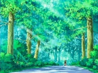 EP471 Ruta 202 (2)