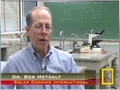 National Geographic Video - April 2009.jpg