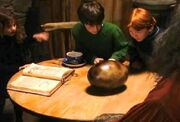 A Dragon egg