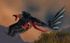 Mesa Buzzard