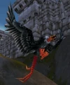 Elder Mesa Buzzard