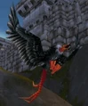 Elder Mesa Buzzard.jpg