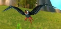 Taloned Swoop.jpg