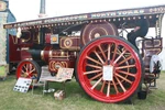 Burrell showmans sn 3444 His Lordship CK 3403 at GDSF 08 - IMG 1023