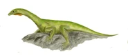 Protorosaurus BW