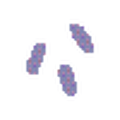 Smoke Pellets
