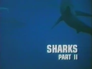 Sharks Part II