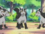 EP287 Mightyena