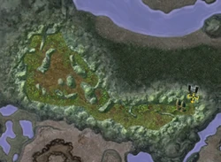 Hracca.jpg