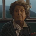 Food Trolley Lady.JPG