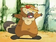 EP526 Bibarel agotado