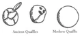 Quaffle Evolution.jpg