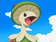 EP529 Breloom de Kenny